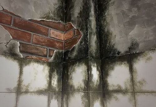 Vivre ou mourir