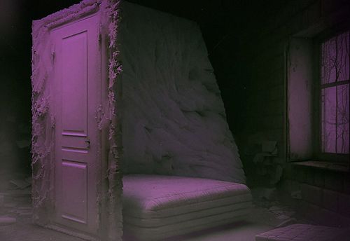 Forest Haven Asylum