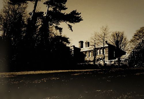 Asylum