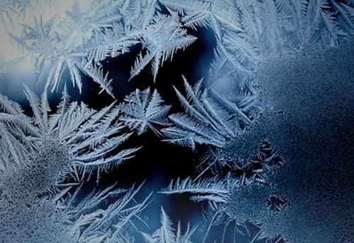 FrostBite