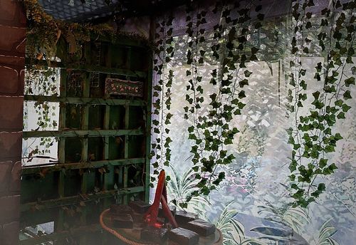 Jungle Treasure