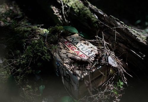 Prisoners of the Forest