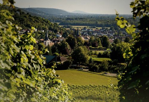 Die verschwundene Winzerin Outdoor