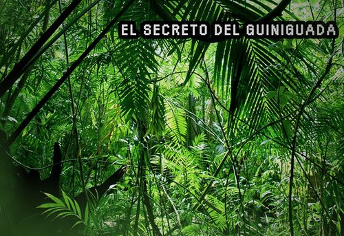 Guiniguada Secret