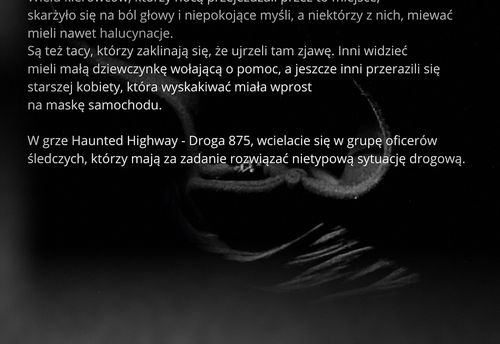 Droga 875