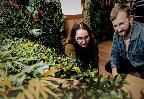 Eacape the Forest - The Plant Room