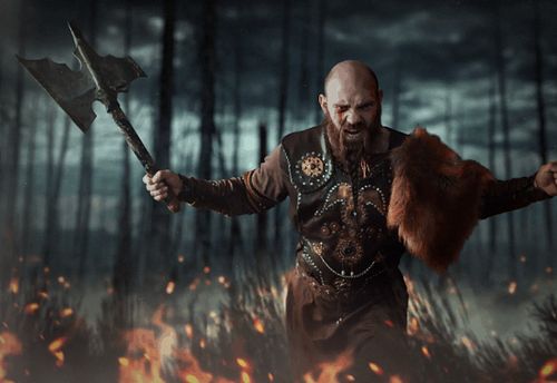Het Viking Langhuis