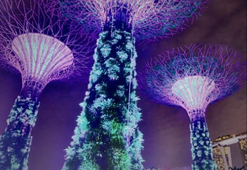 Geheimgesellschaft Singapur