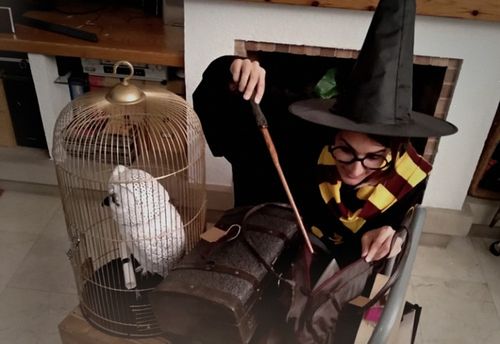 The witch's luggage