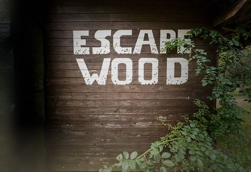 Escape Wood: Lumberjack