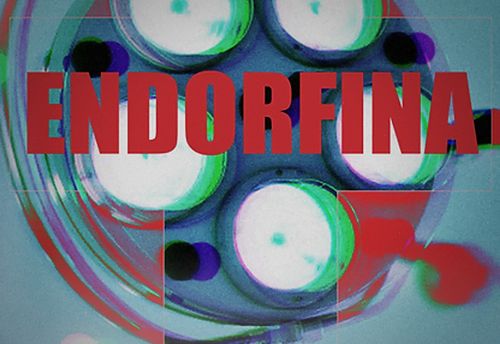 Endorfina
