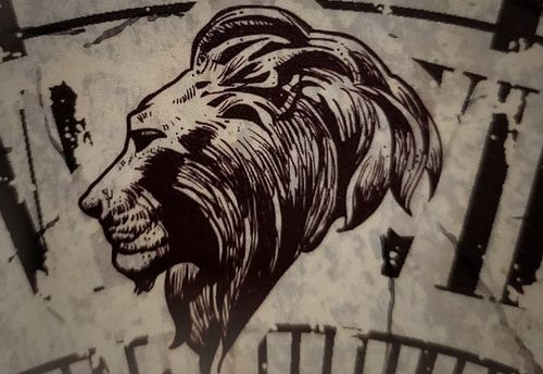 Jungle-Jumanji