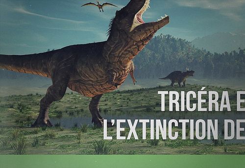 Tricéra et l'extinction de son espèce