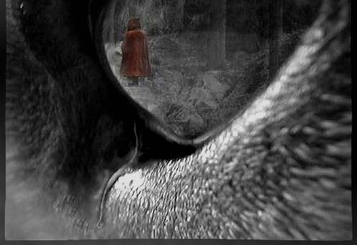 The Wolf