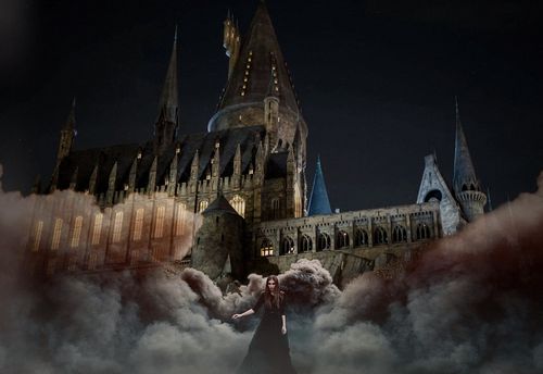 L'Académie des Sorciers