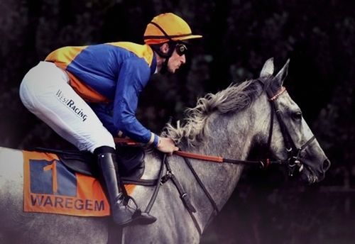 Grote Steeple Chase