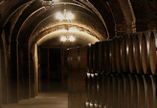 The Secret of the Cellar