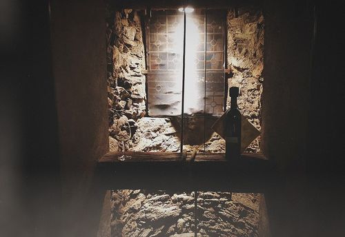 Mission Da Vinci Vinum