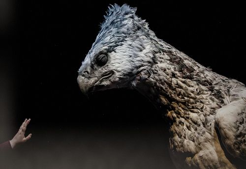 Sauvez l'hippogriffe !