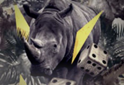 Jungle Escape Room