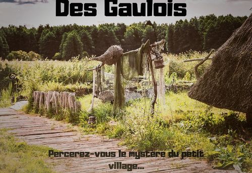 The Potion Of The Gauls