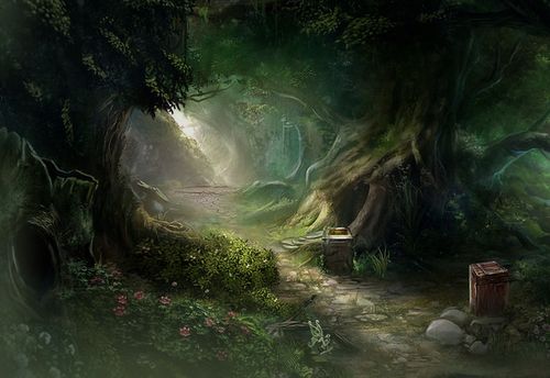 At The Edge Of The Forest
