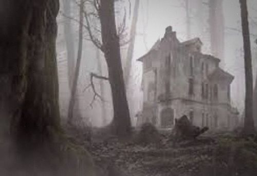The House