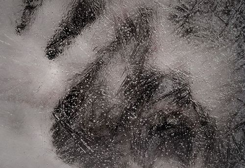 Coup De Froid