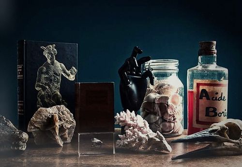 Le Cabinet Des Curiosités