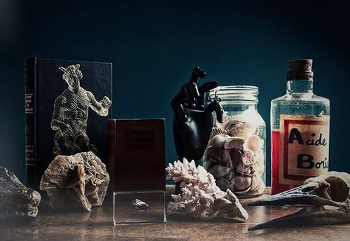 Le Cabinet Des Curiosités