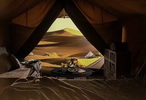 The Scarab's Legacy
