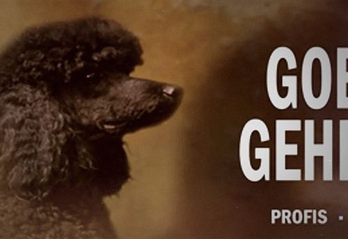 Goethe's Secret