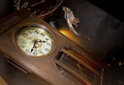 The Magical Adventure — The Time Reverser