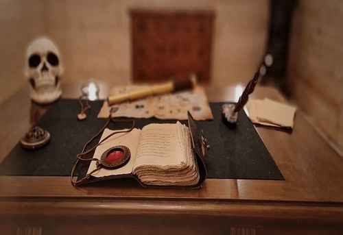 The Pirate's Treasure