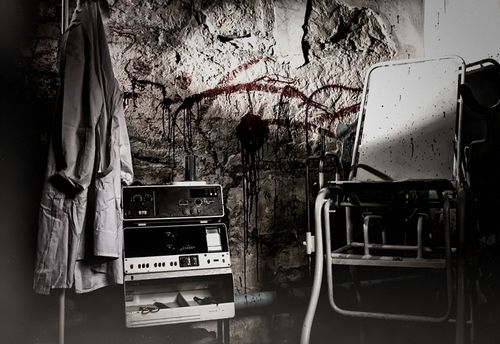 Asylum