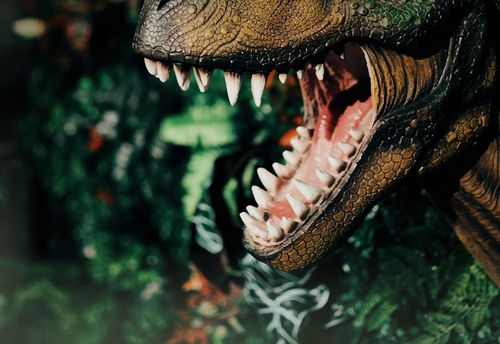 Jurassic Island