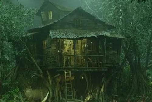 The Cabin