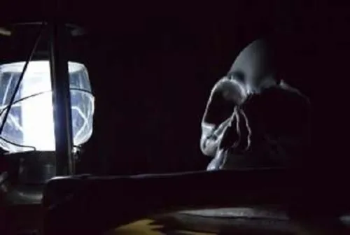 The Great Pirate Escape