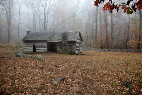 The Cabin