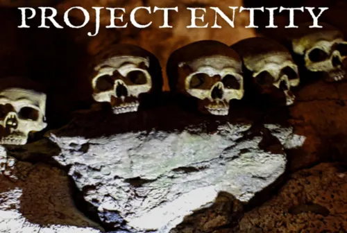 Project Entity