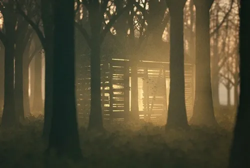 Lost Cabin