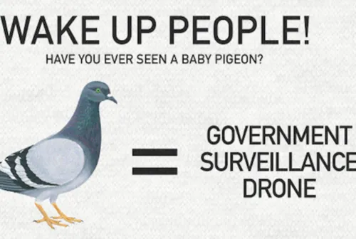 Birds Aren't Real