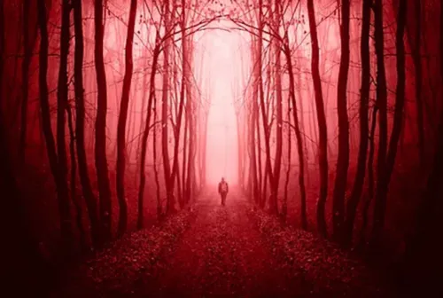 The Pig Farmer: Cult of the 7 Sins