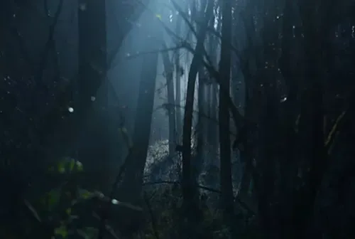 The Hunted: The Hollow Grove Ripper