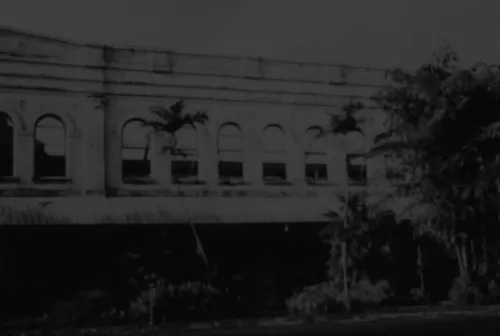 Plantation Mystery