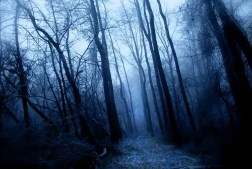 The Woman of Dunn Woods