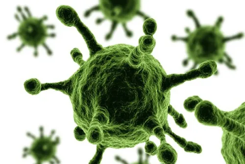 The Pandemic