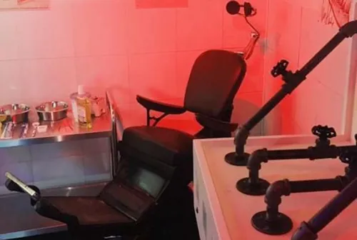 The Mad Dentist