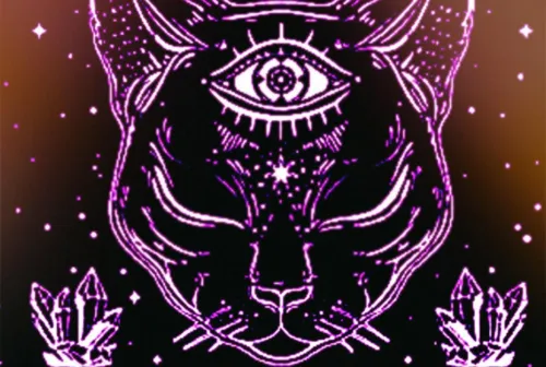 Black Cat Fortune Teller