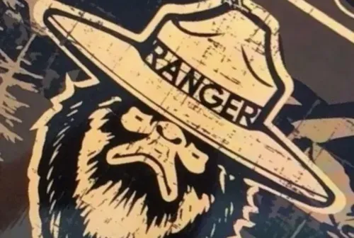 Mystery of the Missing at BIGFOOT Forest